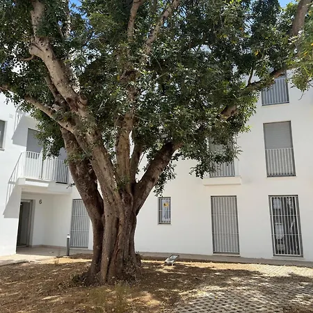 Nuevo-luz De Conil Piscina Y Parking