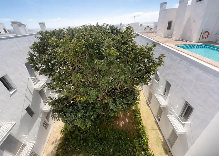 Luz De Conil Premium